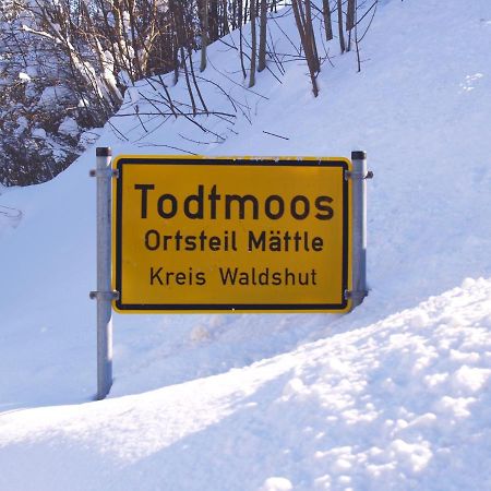 Birke 9, 10 Oder 11 Lägenhet Todtmoos Exteriör bild