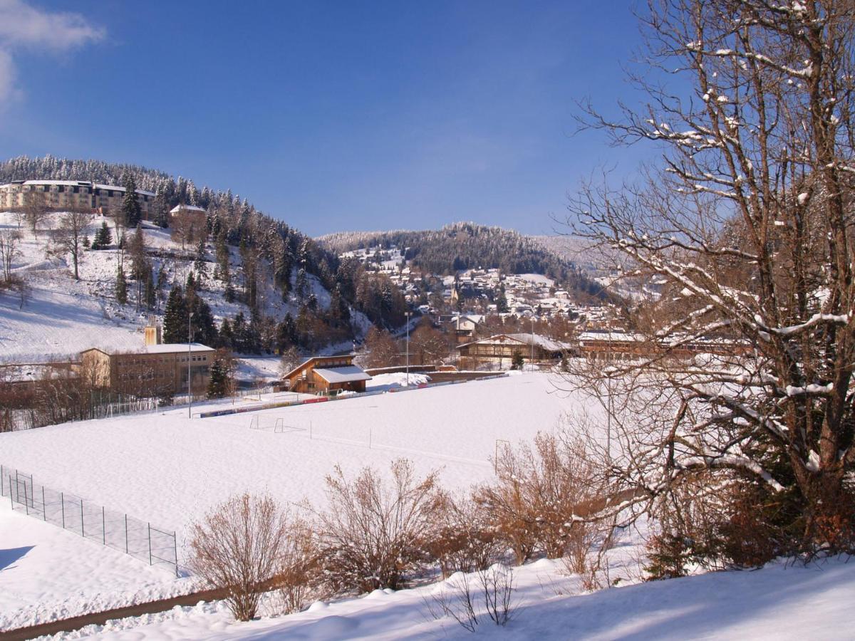 Birke 9, 10 Oder 11 Lägenhet Todtmoos Exteriör bild
