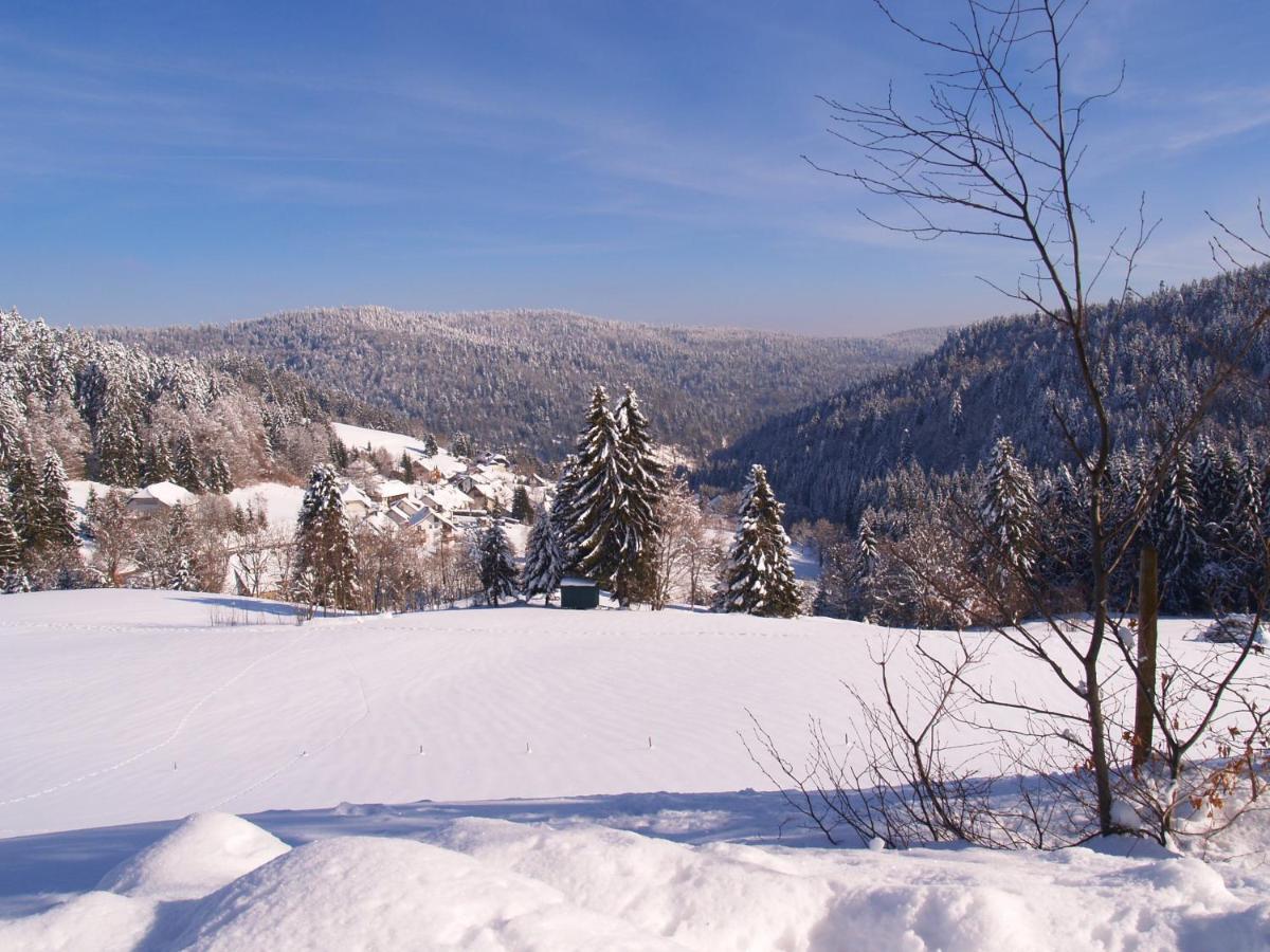 Birke 9, 10 Oder 11 Lägenhet Todtmoos Exteriör bild
